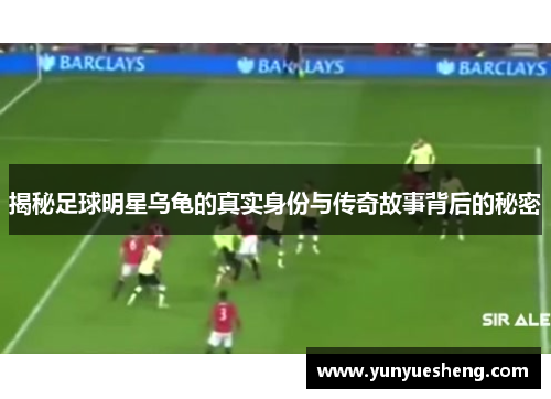 揭秘足球明星乌龟的真实身份与传奇故事背后的秘密